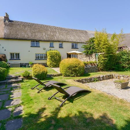 Michaelmas Cottage Drewsteignton المظهر الخارجي الصورة